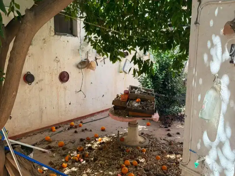 Jardí de Planta baixa en venda en Canjáyar amb Balcó