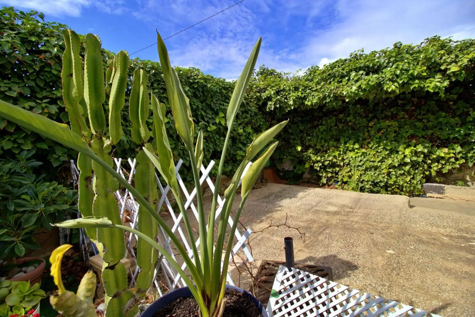 Jardín de Casa o chalet en venta en Elche / Elx con Terraza