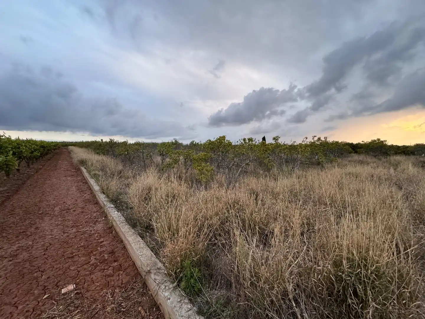 Terrenos y solares en venta en Polígono 10 Parcela 62, imagen 5