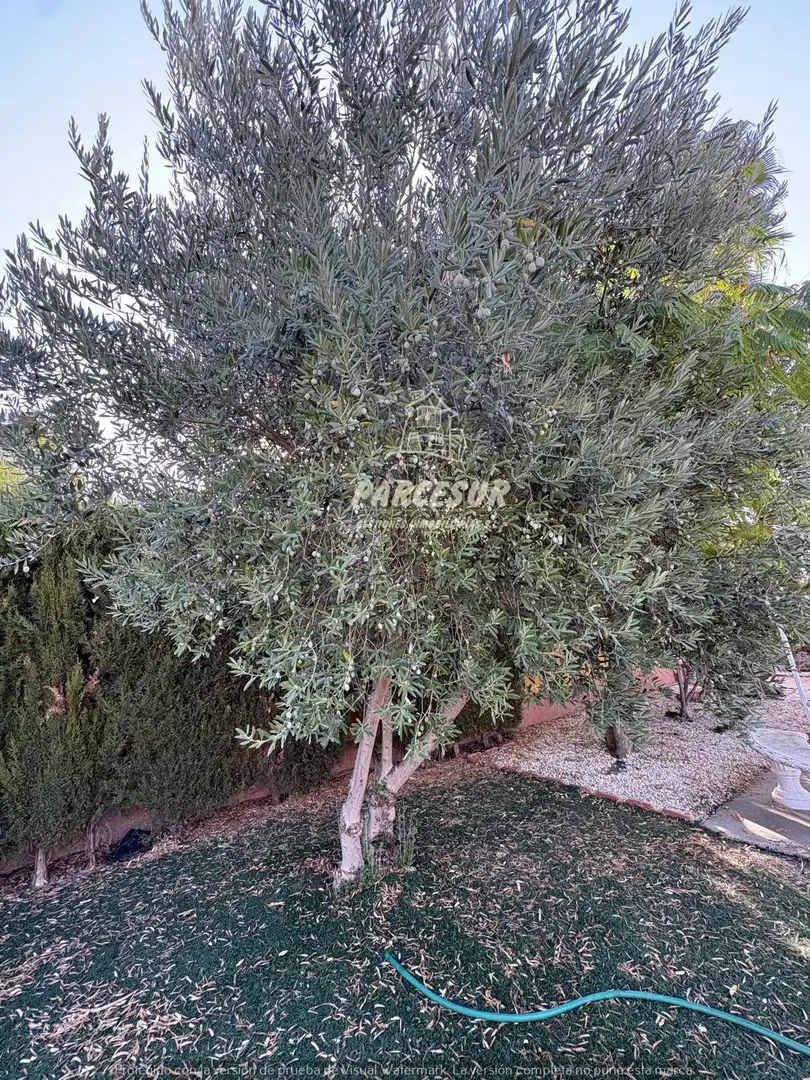 Casa con piscina in vendita a Periurbano Oeste - Sierra, imagen 30