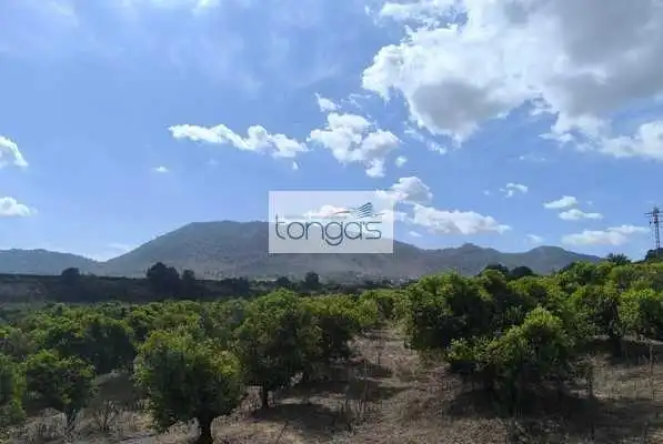 Terreny rústic en venda a Vallés, imagen 11