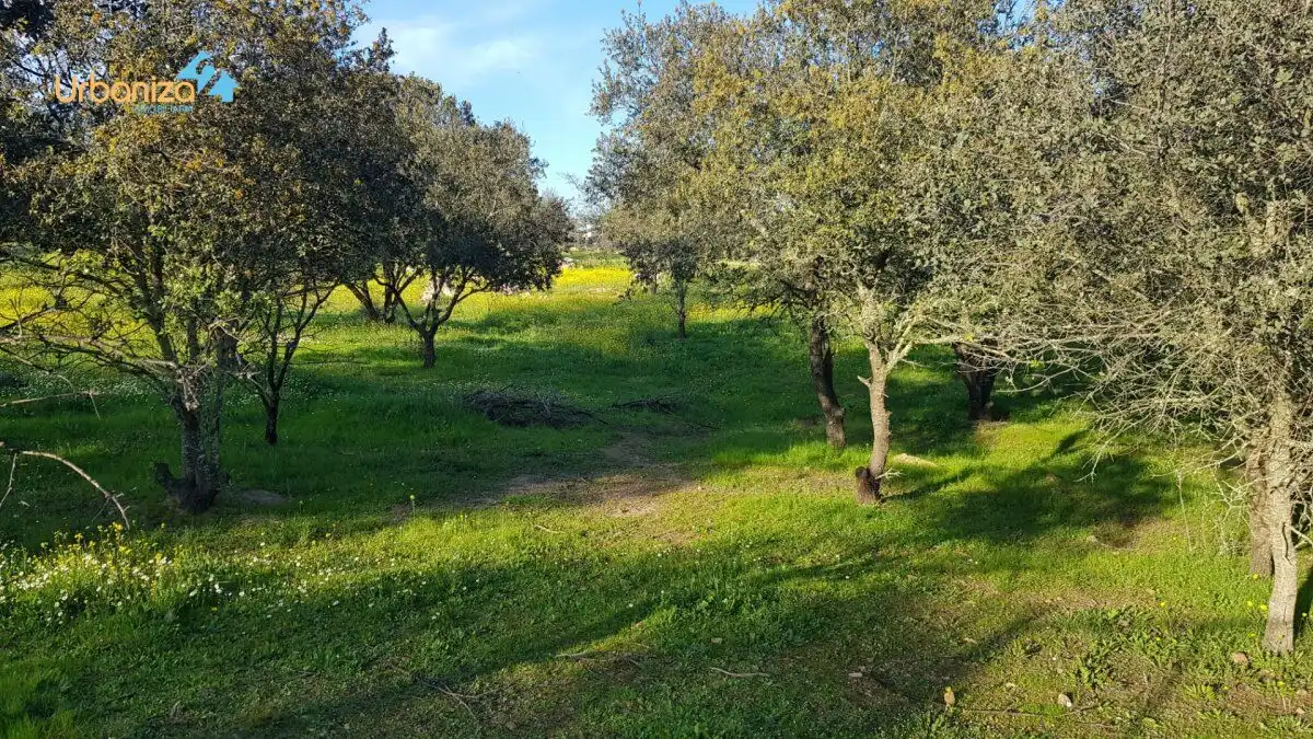 Terreni e lotti in vendita a Calle hortelano, imagen 20