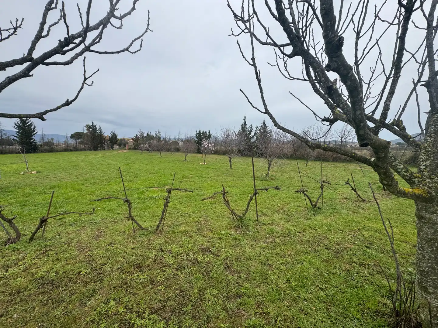 Land for sale in Garriguella