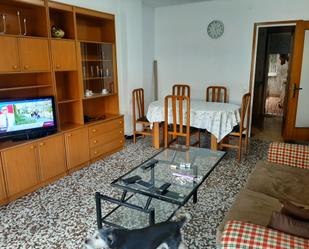 Living room of Flat for sale in Vila-rodona