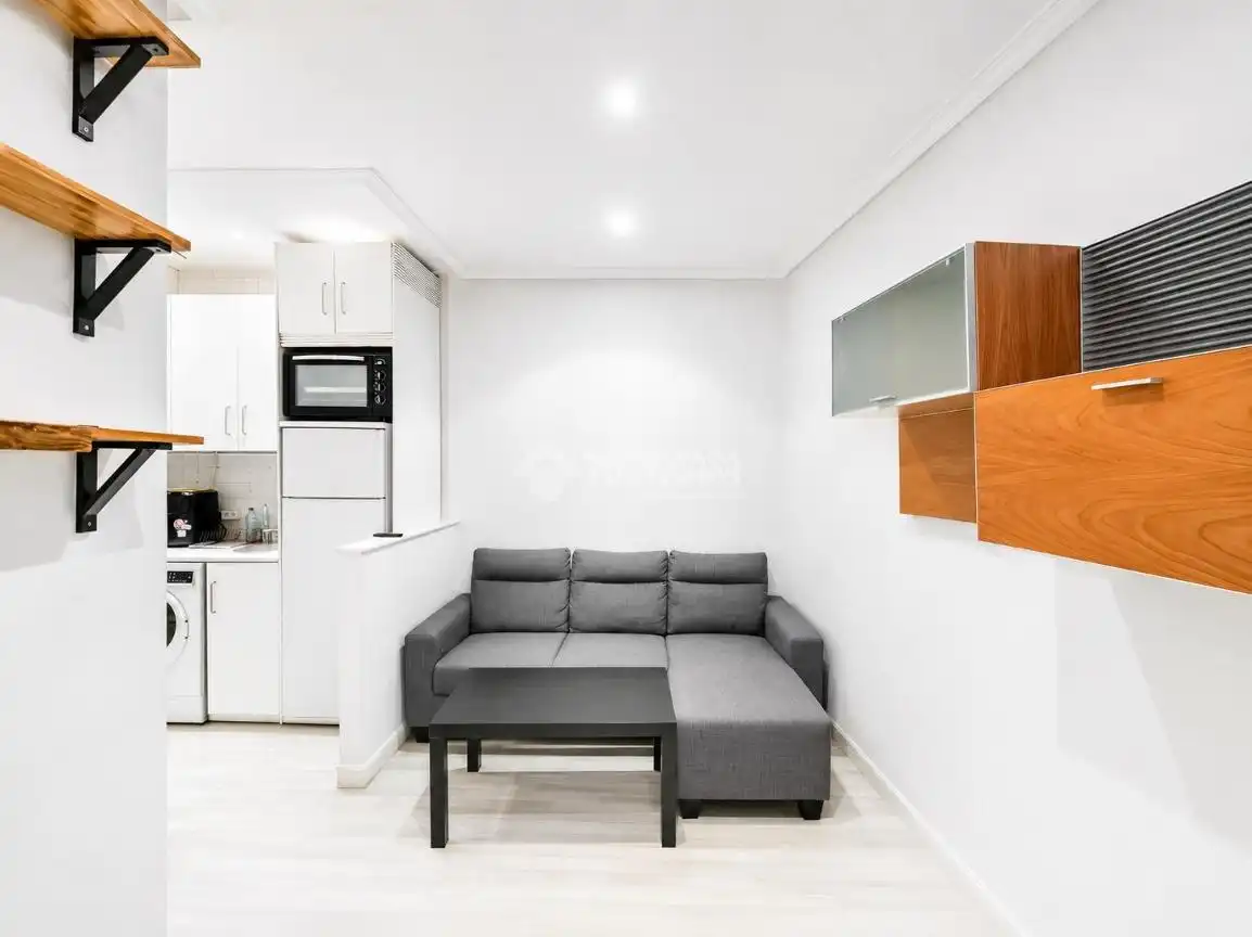 Sala de estar de Estudio de alquiler en Madrid