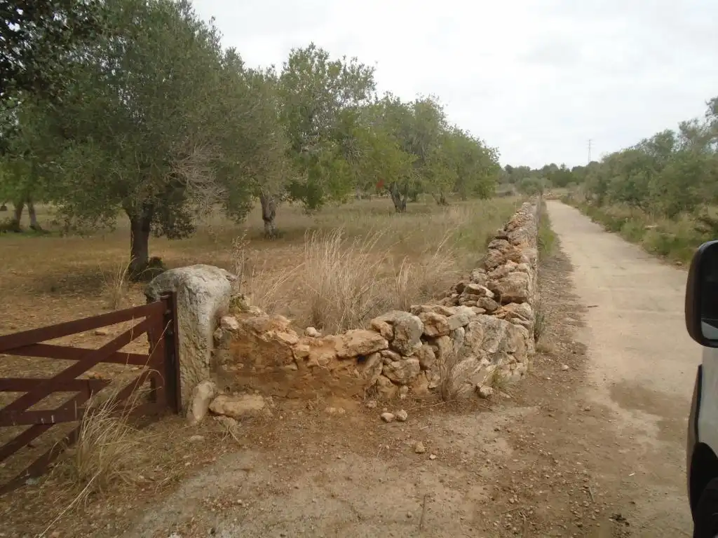 Rustikales Grundstück zum Verkauf in Paraje del Moro, imagen 9