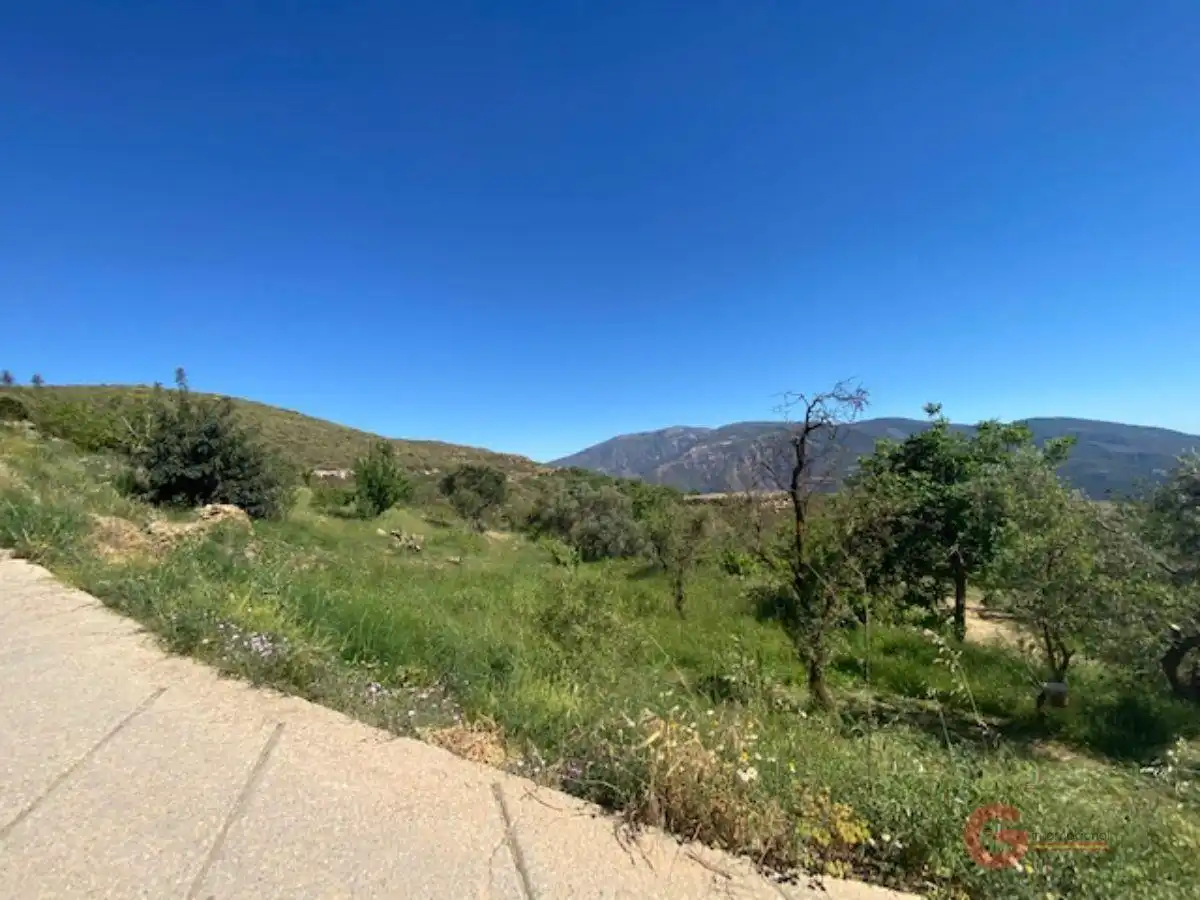 Finca rústica en venta en Lanjarón