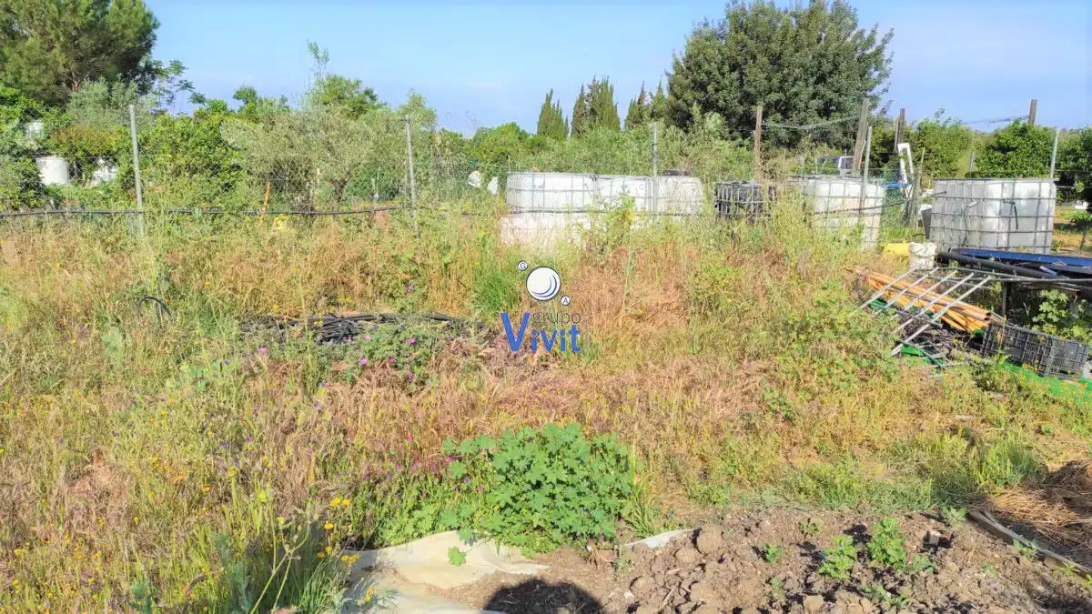 Terrenos y solares en venta en Pedanías Sur, imagen 4