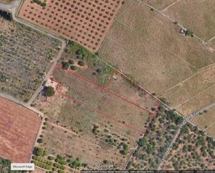 Land for sale in Castellón de la Plana / Castelló de la Plana