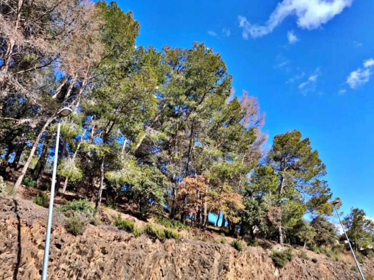 Rural land for sale in Calle Llosa, imagen 22