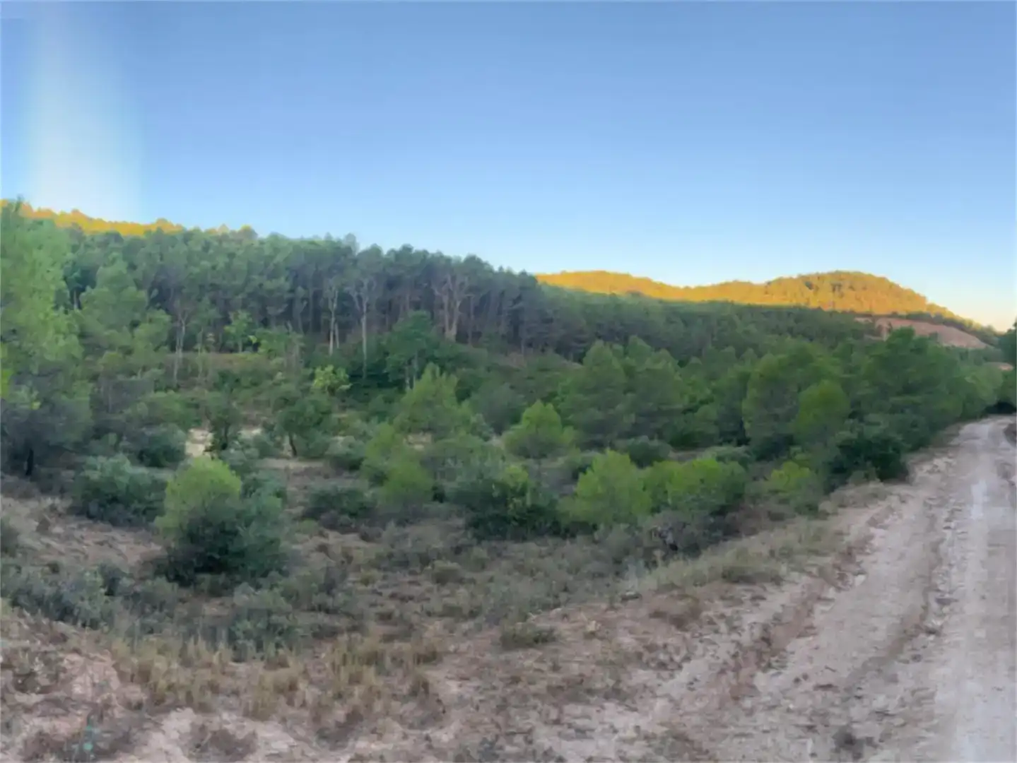 Land for sale in La Peraleja  