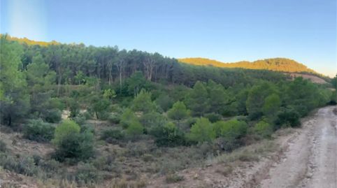 Photo 4 of Land for sale in Carretera Huete, La Peraleja , Cuenca