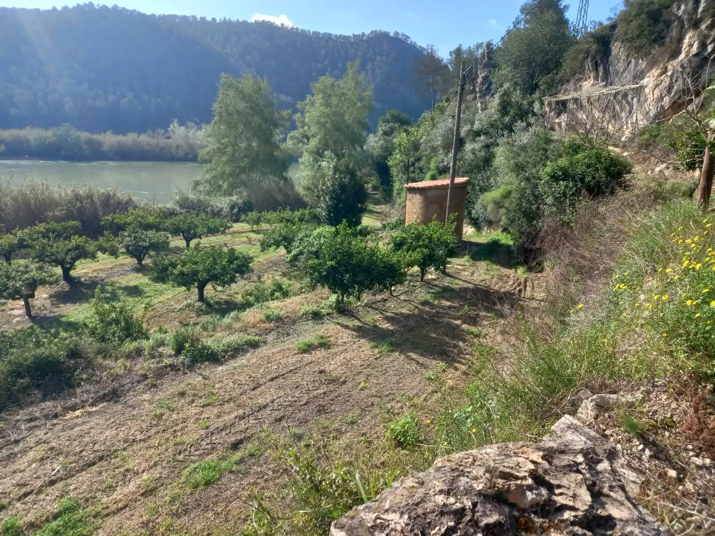 Terreny rústic en venda a Miravet, imagen 9