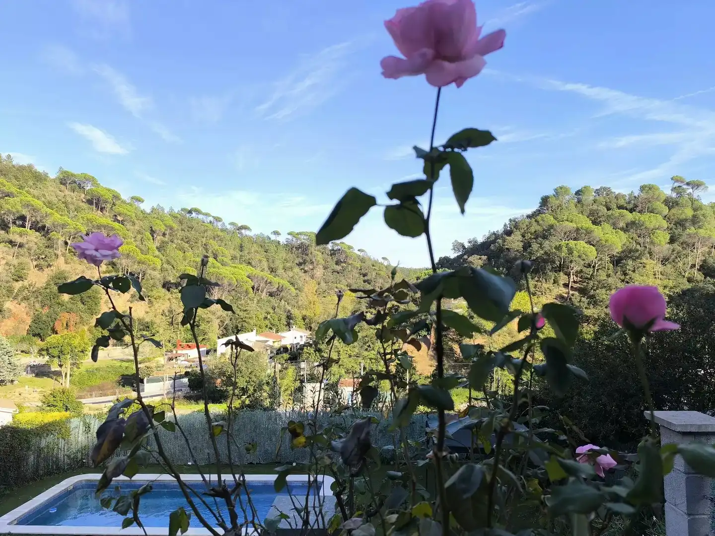 Villa mit Pool zum Verkauf in Massanes, imagen 31