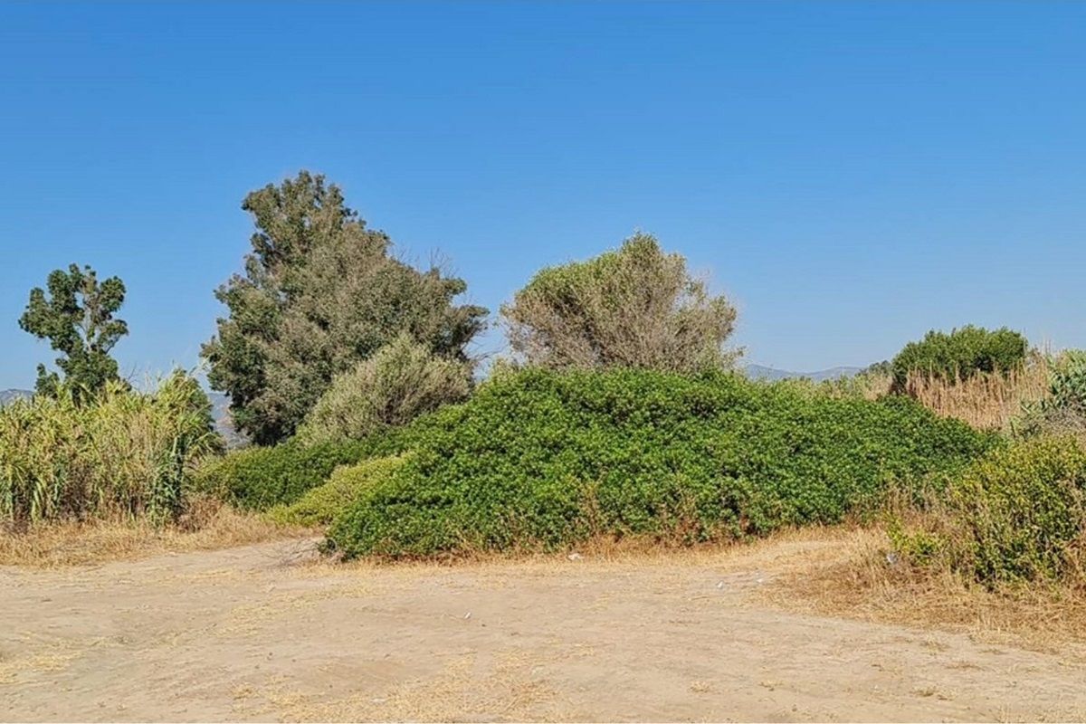 Residencial en venda en Algeciras