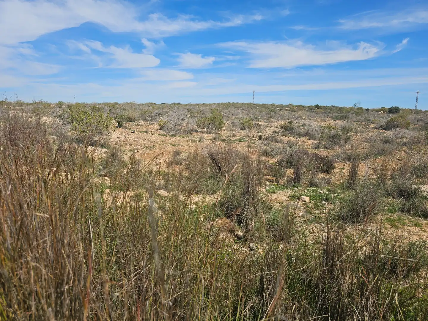 Lands and plots for sale in Mula, imagen 3