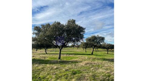 Foto 2 de Casa o xalet en venda a Aliseda, Cáceres