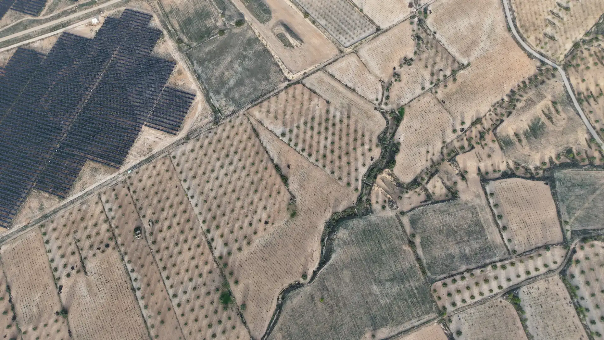 Terreny residencial en venda a Jumilla, imagen 11