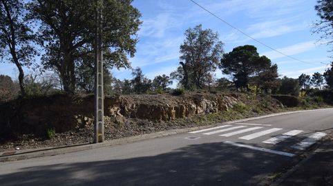 Immagine 2 dell'annuncio