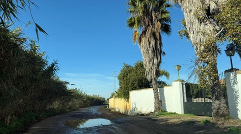 Foto 5 de Finca rústica en venda a Callejón de la Dehesa, Pilas, Sevilla
