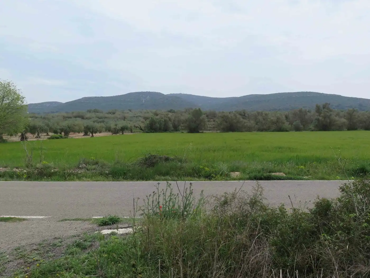 Rustikales Grundstück zum Verkauf in Camí Miliana 1, imagen 4