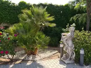 Villa mit Pool zum Verkauf in Villarrobledo, imagen 7