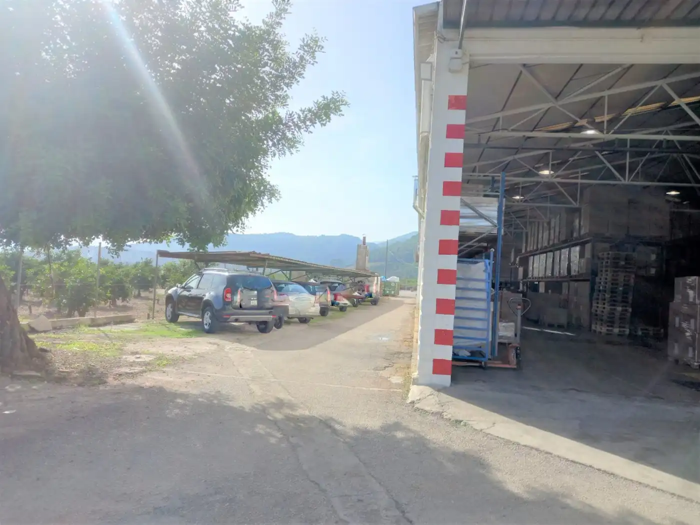 Nave industrial en venta en Palma de Gandia, imagen 13
