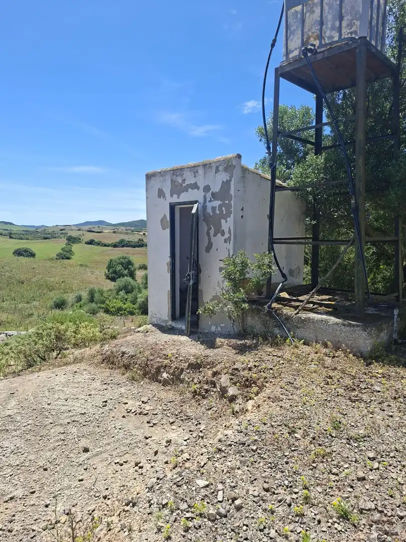 Finca rústica en venta en Medina Sidonia