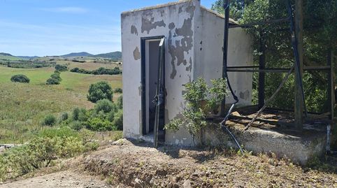 Foto 5 de Finca rústica en venda a Medina Sidonia, Cádiz