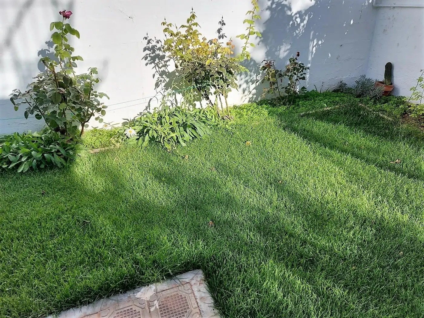 Xalet amb jardí en venda a La Roda, imagen 52