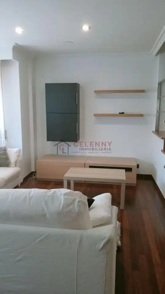 Sala d'estar de Dúplex de lloguer en Ourense Capital  amb Calefacció, Parquet i Traster