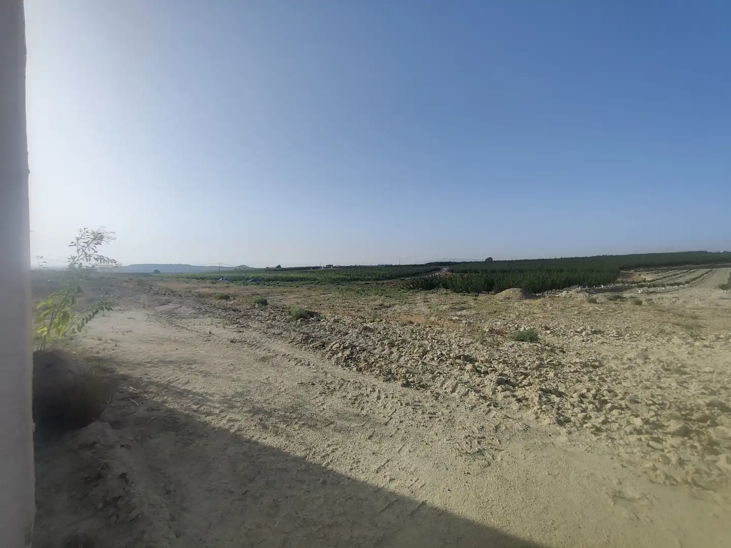 Land for sale in Ojós
