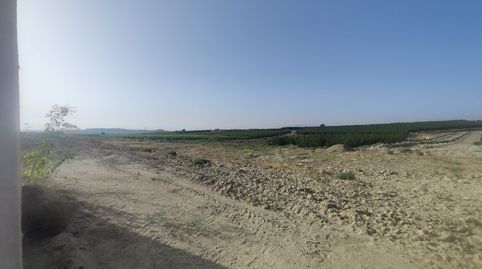 Photo 5 of Land for sale in Camino Poligono, Ojós, Murcia