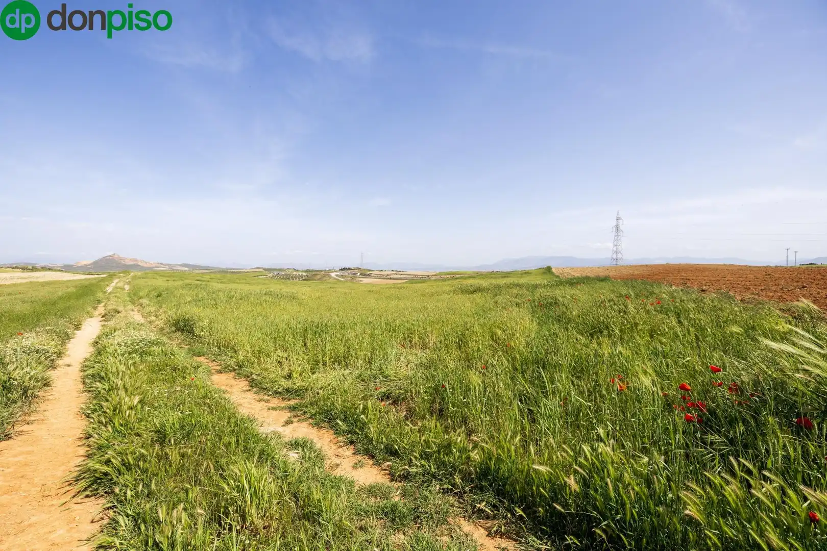 Lands and plots for sale in Otura 6, imagen 18