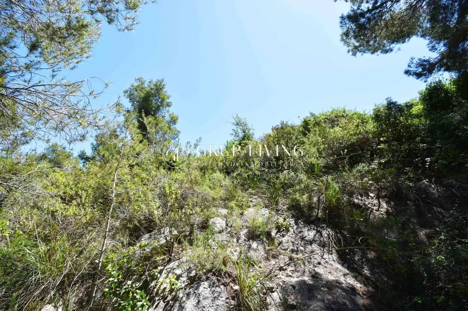 Residential land for sale in Mas Alba, imagen 11