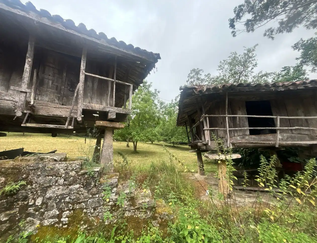 Vista exterior de Finca rústica en venda en Gijón  amb Jardí privat