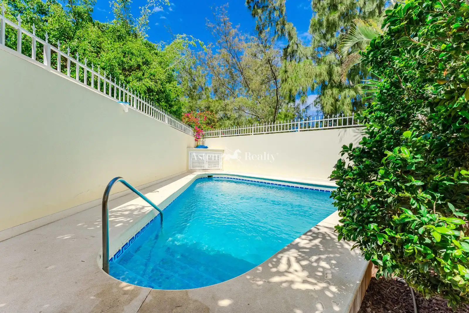 Piscina de Casa o chalet en venta en Arona con Jardín privado, Terraza y Trastero