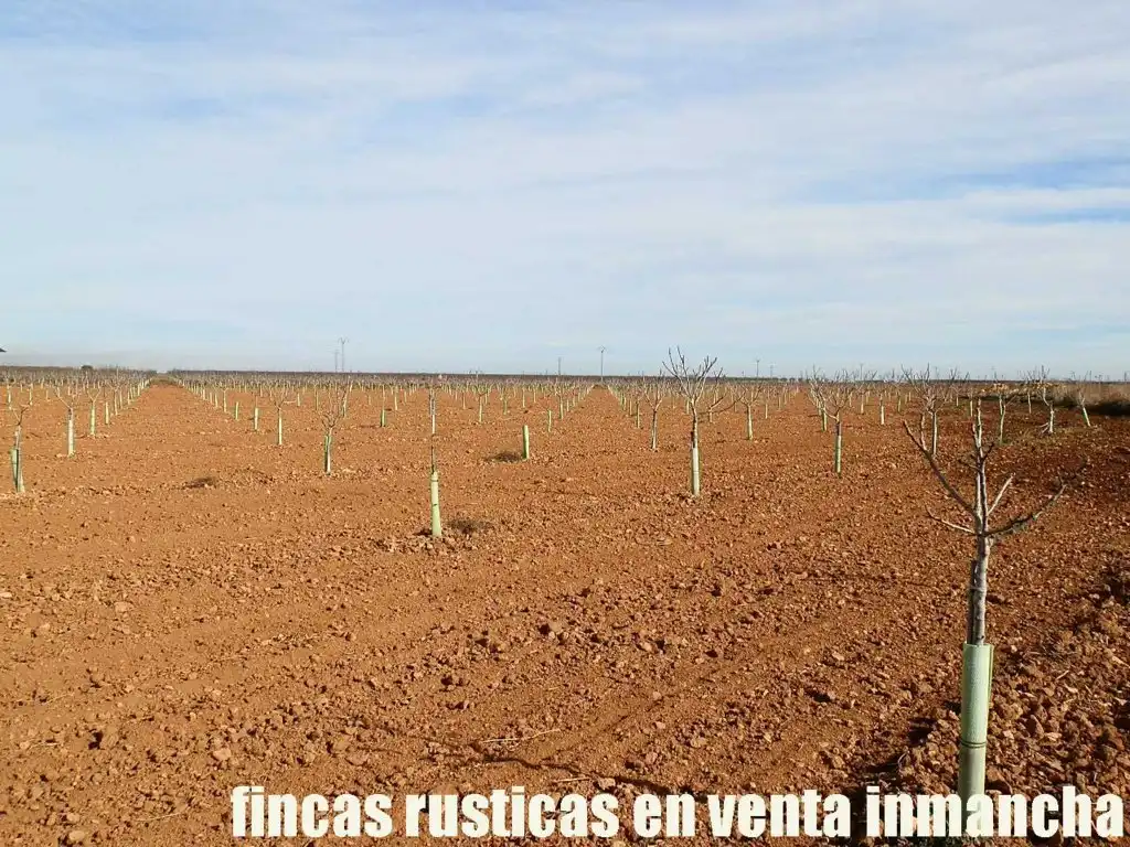 Terreno en venta en Albacete
