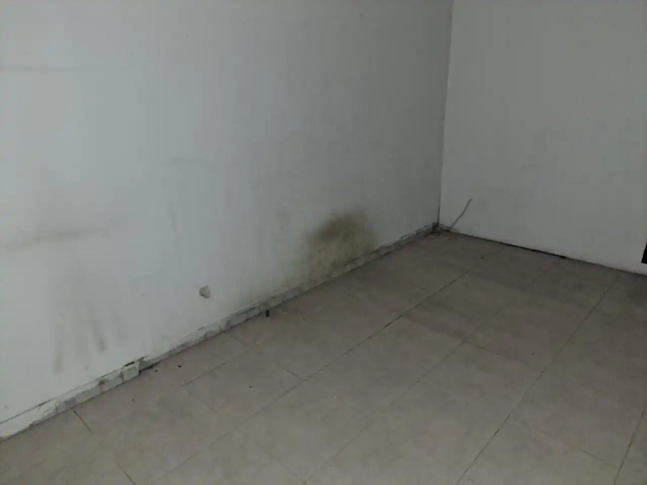 Gewerbefläche zur Miete in Calle del Monasterio de Siresa 8, imagen 12