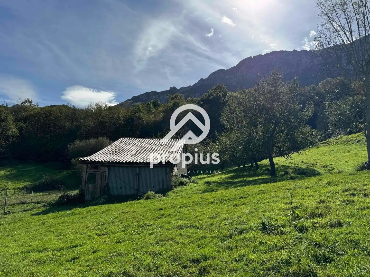 Rural land for sale in Inguanzo, imagen 14