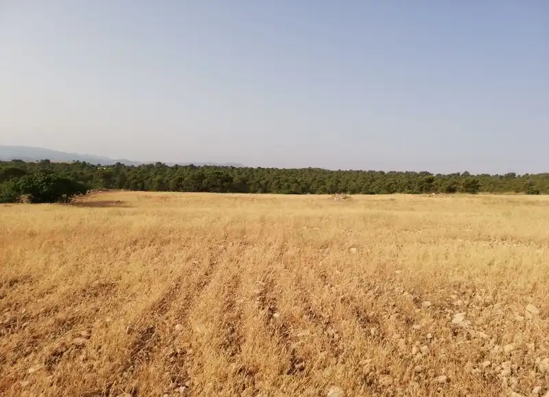 Residential land for sale in Polígono 247, imagen 4