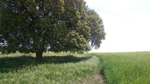 Foto 5 de Finca rústica en venta en Gurrea de Gallego, 00, Gurrea de Gállego, Huesca