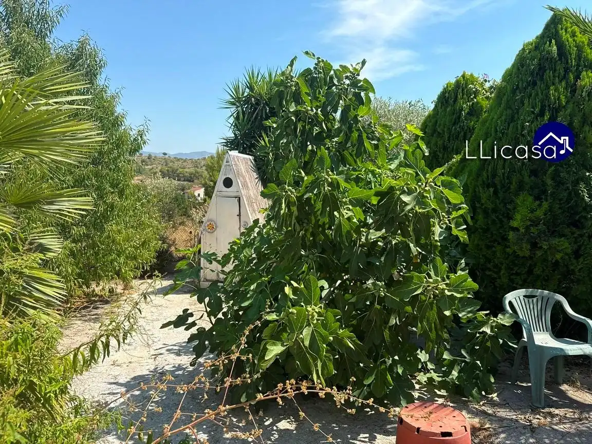 Xalet amb piscina en venda a Pla dels Aljubs, imagen 45