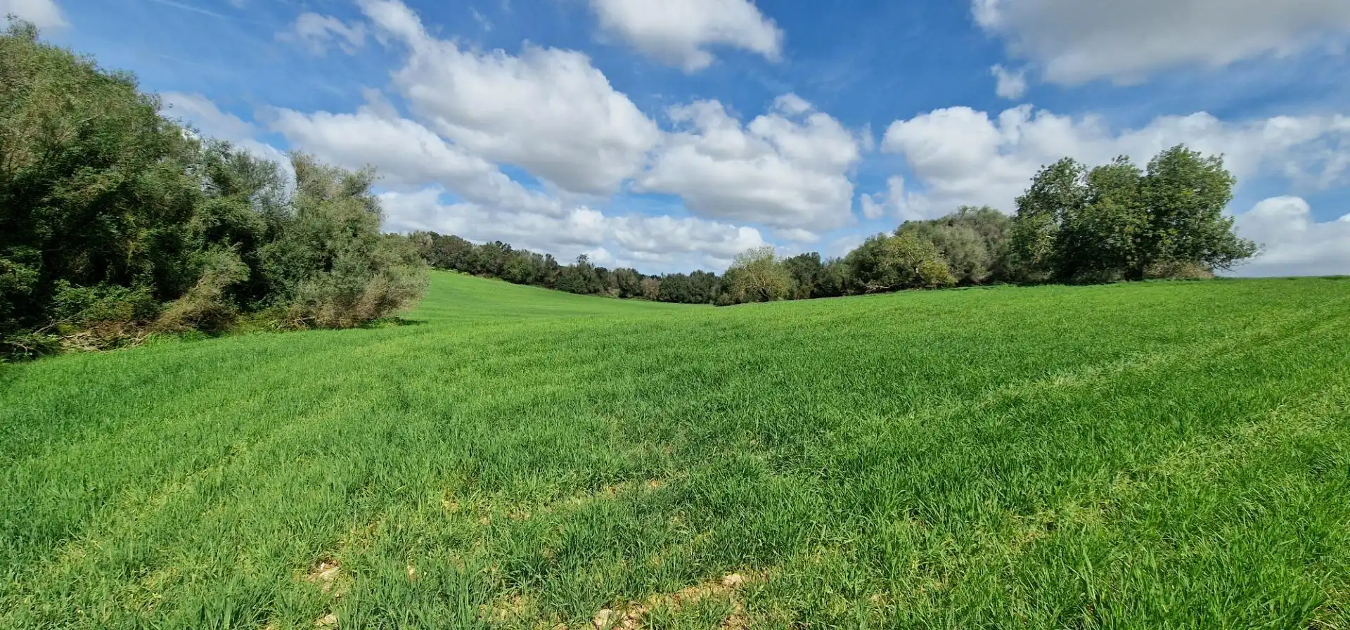 Country homes for sale in Manacor