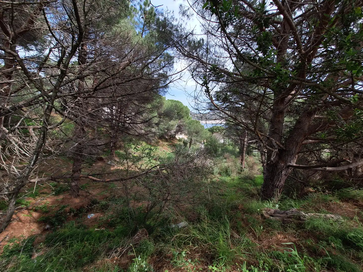 Residential land for sale in Carrer la Mina Vella, imagen 4