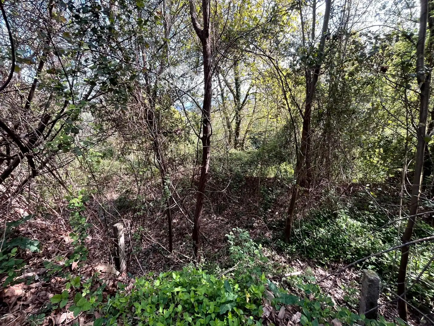 Xalet en venda a Arbo, imagen 10