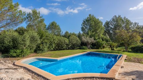 Foto 5 de Finca rústica en venta en Pollença Poble, Pollença