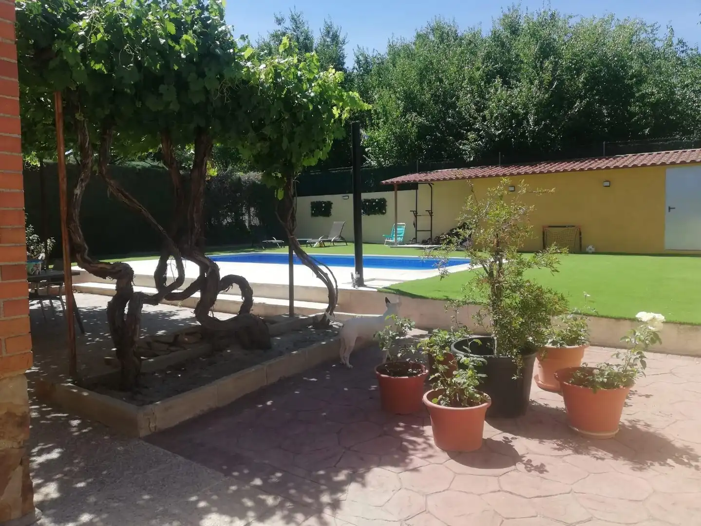 Chalet con piscina en venta en Calypo Fado, imagen 36