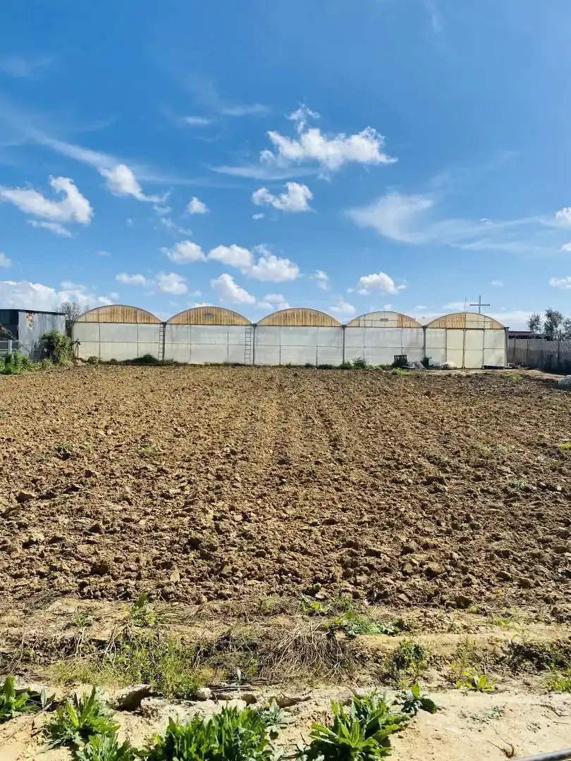 Vista exterior de Finca rústica en venda en Ctra Jerez - Ctra del Puerto