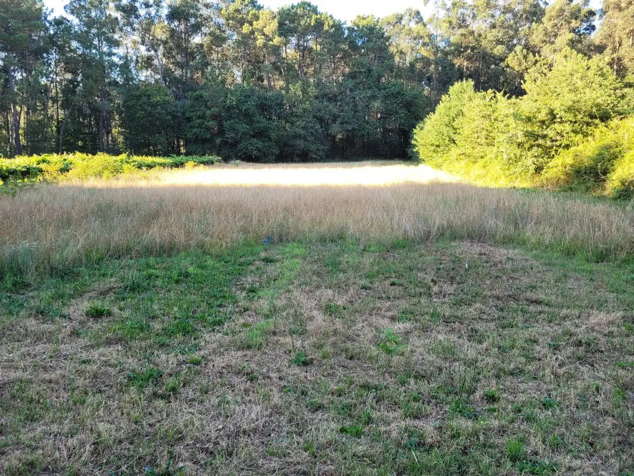 Terreno rustico in vendita a Tui, imagen 5